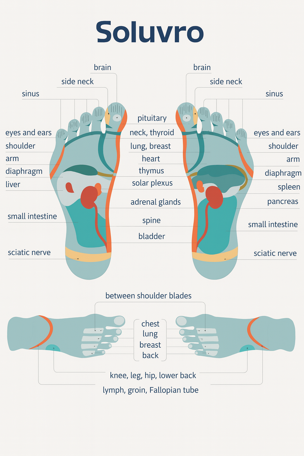 The FlexiHeal secret E-book to treating plantar fasciitis